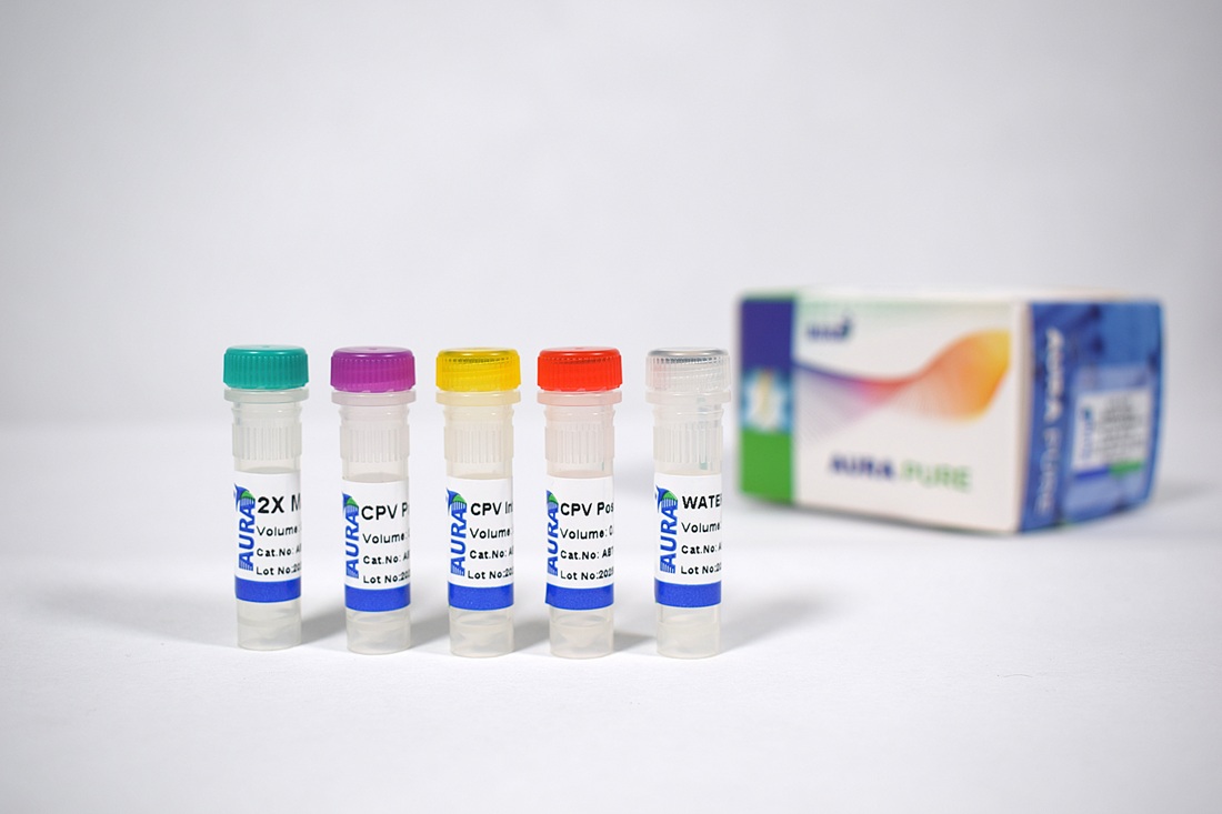 Canine Parvovirus